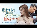 CINTA YANG SEMPURNA - DIKE SABRINA Ft DELVA (LAGU POP MELAYU LIRIK)
