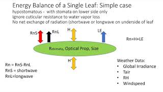 Solving Surface Energy Balance for Estimating Transpiration and Evap