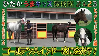 ひだかうまキッズ探検隊2023第2回目～現役競走馬に会おう！～2023/07/08