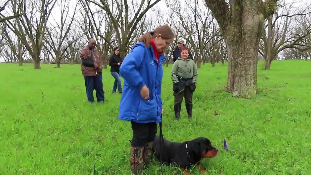 2026-Feb - uploaded   MVI 2623