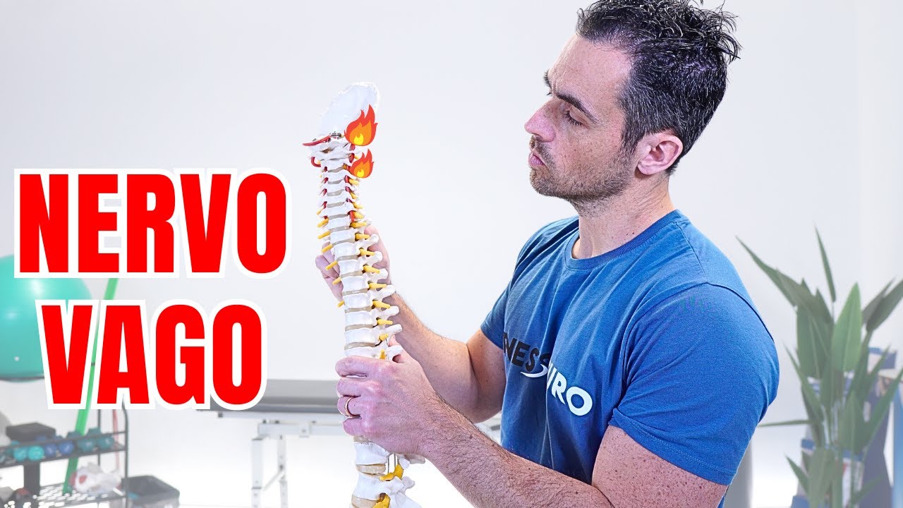 NERVO VAGO: cos'è e come capire se è 