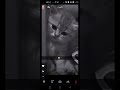 الحزن ياكل قلبي بكل بصمت 