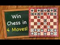 How to win chess in 4 moves