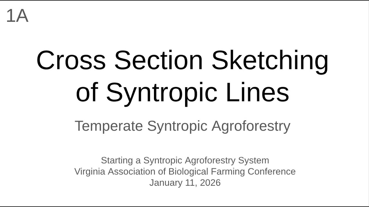 1A Cross Section Sketching of Syntropic Tree Lines - Temperate Syntyropic Agroforestry