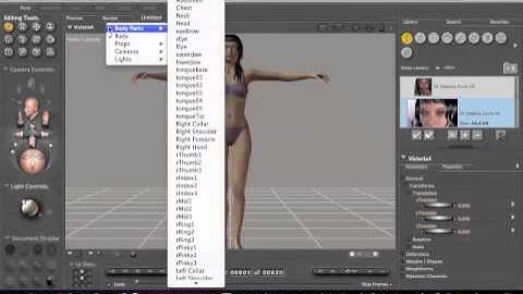 Poser Beginner Tutorial