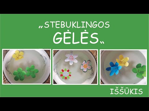 Video: Nepretenzingos Gėlės, Skirtos Sėti Tiesiai į žemę