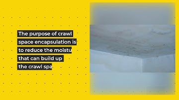 Crawl Space Encapsulation vs Vapor Barrier