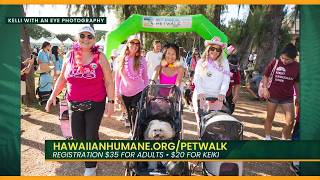 Bring Your Best Paw Forward for Oʻahu Pets!
