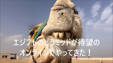 (予告編)エジプト・世界遺産ギザのピラミッド＆スフィンクス ライブツアー