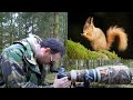 Photographing Red Squirrels - in Yorkshire