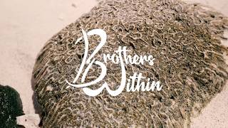 Video thumbnail of "Brothers Within - MindSurf (Official Music Video) feat. Kat Hall"