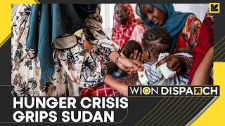 Sudan Hunger Crisis: Two-Thirds in South Sudan Face Famine-Like Conditions | WION Dispatch