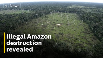 Colombia’s Amazon: Leaders ignoring devastating illegal deforestation