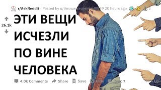 АПВОУТ: УДИВИТЕЛЬНЫЕ ВЕЩИ, КОТОРЫЕ ИСПОРТИЛ ЧЕЛОВЕК