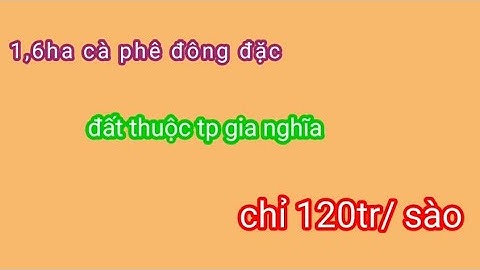 bán đất  gia nghĩa. 1,6ha cà phê đông đặc thuộc  tp gia nghĩa.