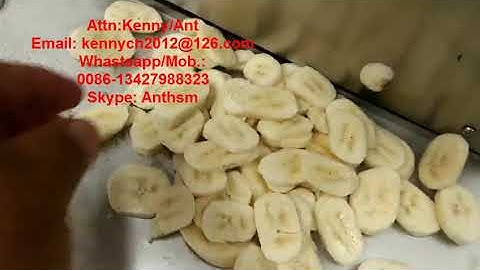 CH-20 green banana/ plantain chips cutting slicing machine, celery cutter slicer