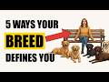 What Your Dogs Breed Reveals About YOUR Personality Values