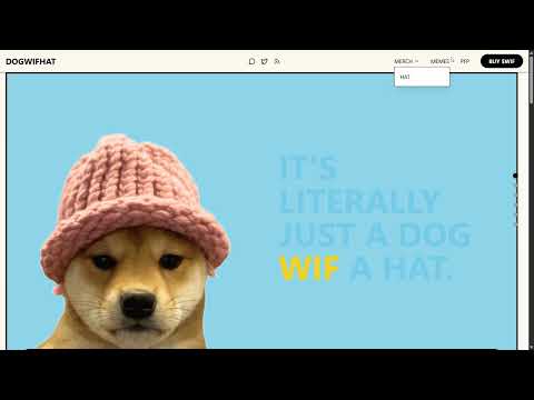 About dogwifhat ($WIF) Project!!