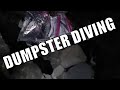 Dumpster Divingmas cositas bonitas/Lo que tiranen usa😱😱