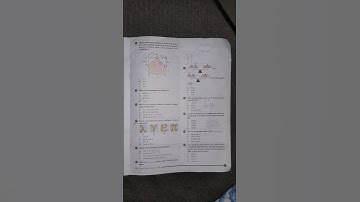Class 5 SOF IMO  International Mathematics Olympiad 2024-25 question paper Set C