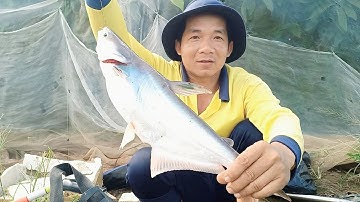 câu cá mùa nước nổi cá tra cá trôi cá chim rô phi rô đồng thật phê