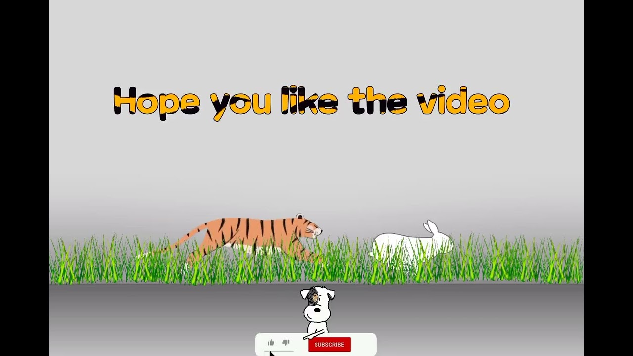 | Tiger chasing rabbit | | Tiger Vs rabbit |