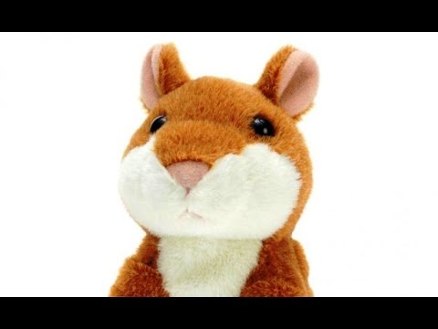 Говорящий хомяк woody - YouTube