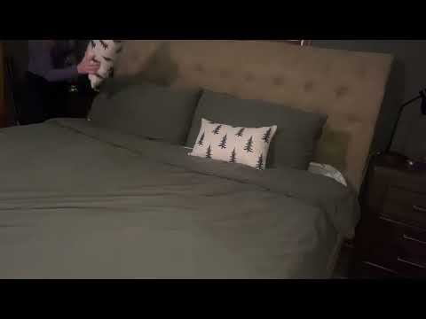 Honest review of LINENLINE Bedding Queen Pillowcases 2 Pack with Envelope Closure, Super Soft