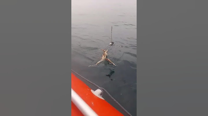 Ловля краба на краболовку