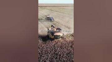 Benefits Of Agro Forestry || Agro Forestry.#nature #forest #facts #birds #viralvideo #education..