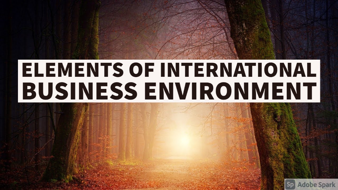 Elements Of International Business Environment YouTube