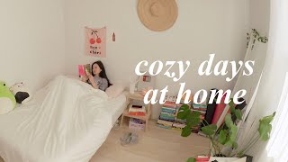 living alone vlog☁️ slowing down, cozy days at home & dog sitting