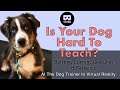 Is your dog hard to teach? Baiting, Luring, Gestures & Patience. VR Dog Training