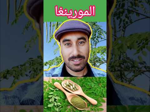 المورينغا و تصلب الشرايين  
