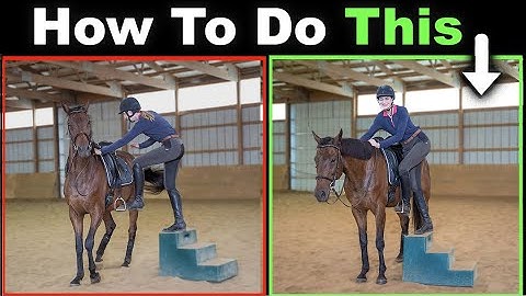 Teach A Horse to Stand Still While Mounting 😀