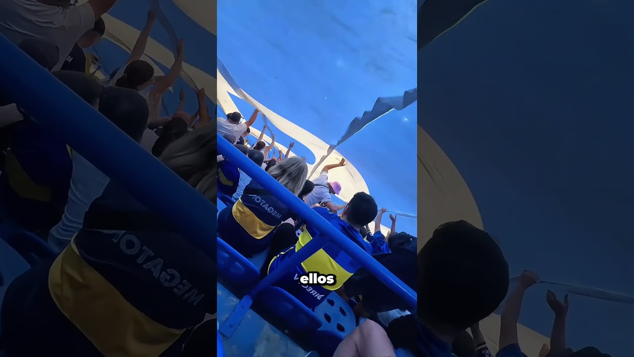 Este Momento De La Pancarta del Estadio Sale Mal #football #unexpected #shorts