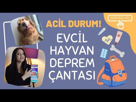 Video: Afete Hazırlık: Evcil Hayvan Sahipleri İçin Deprem ve Tsunami Güvenliği