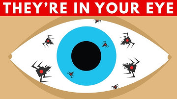 What Are These Tiny Robots Doing Inside You?
