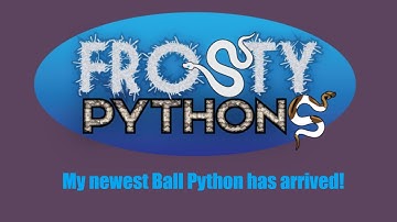 Ball Python unboxing: New Pickup!!!