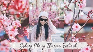 Sydney Cherry Blossom Festival | Auburn Botanic Gardens Vlog 🌸