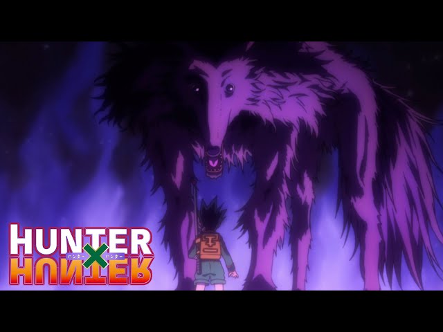 killua from Hunter x Hunter looking like a pug