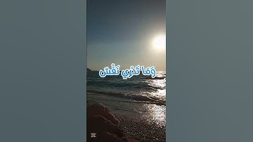 قران كريم ايات تريح القلب اجمل صوت قران#المنشاوي  #quranhearts
