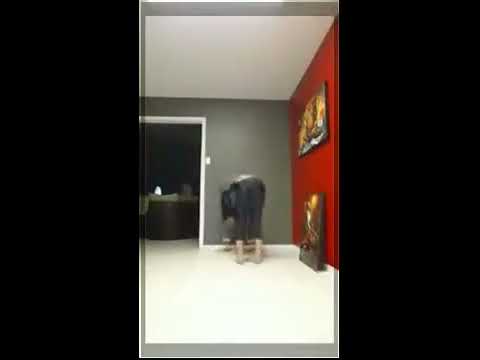 Woman Accidentally Kicks Crap Out Of Dog