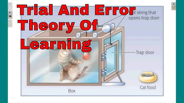 trial and error theory of learning