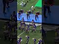 Cut out some time in your day for the 2023 DCI World Champions 🏆 | Blue Devils - The Cut Outs