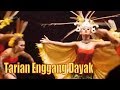 Tari Burung Enggang - Ruai Mating Dance