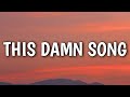 Pecos &amp; The Rooftops - This Damn Song (Lyrics)