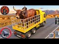 Zoo Animal Cargo Truck Driving - Dangerous Animal Delivery Game 3D 2026 - Android GamePlay