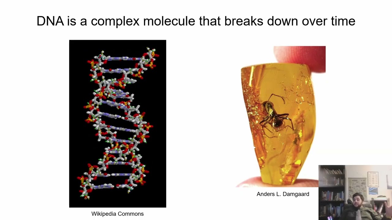 Could Jurassic Park happen in real life?