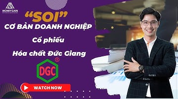 "SOI" cơ bản doanh nghiệp - Công ty hóa chất Đức Giang - DGC
